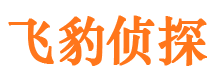 修水外遇出轨调查取证